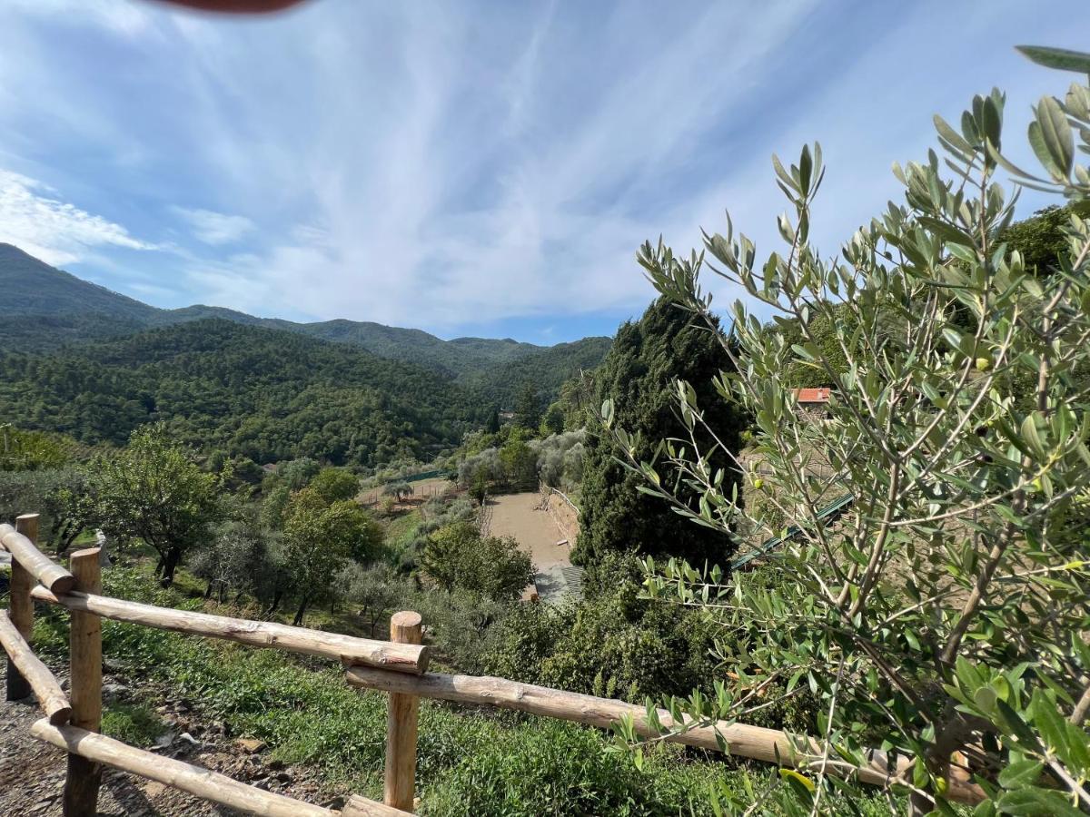 Agriturismo Torsivi Castiglione Chiavarese Luaran gambar