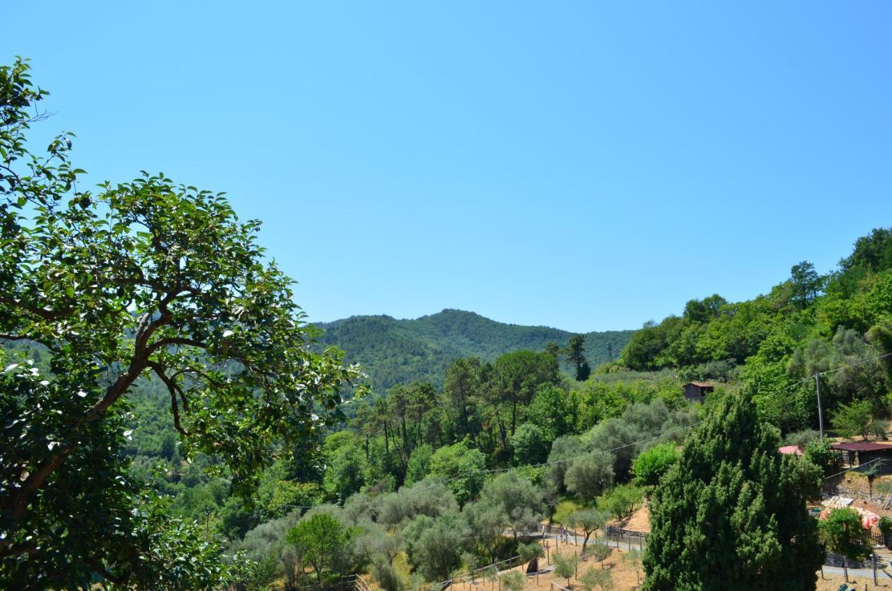 Agriturismo Torsivi Castiglione Chiavarese Luaran gambar